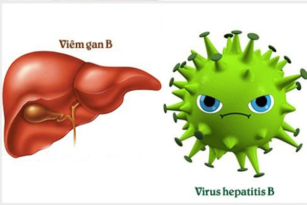  Viêm gan B và những điều cần biết về căn bệnh này!